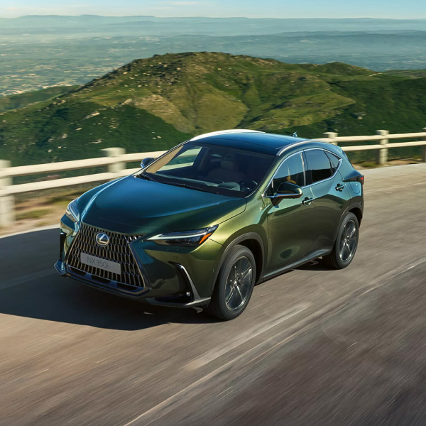 LEXUS žalias automobilis